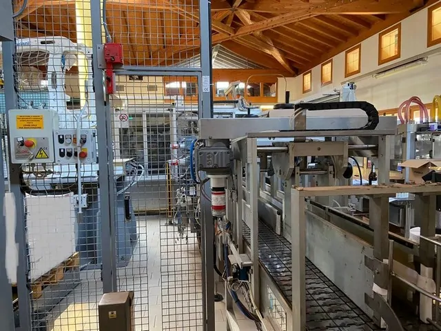 Palettiseur Mariani Robot Abb Irb 460-110 d'occasion — 2013